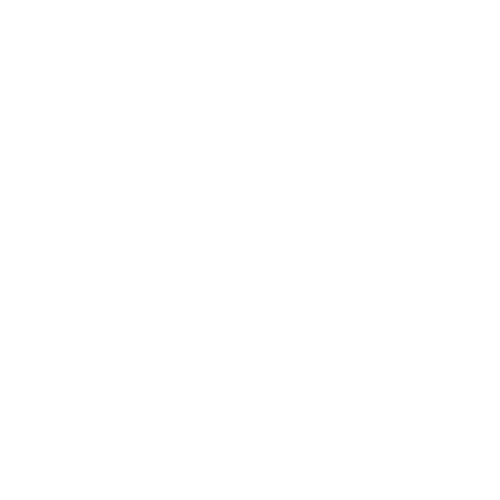 Logo FT Racing Team